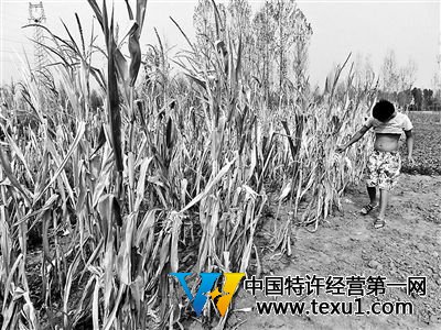 河南大旱领导下乡送水拍照录像后走人