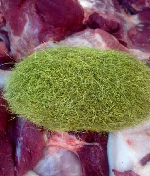 怪蛋猪砂