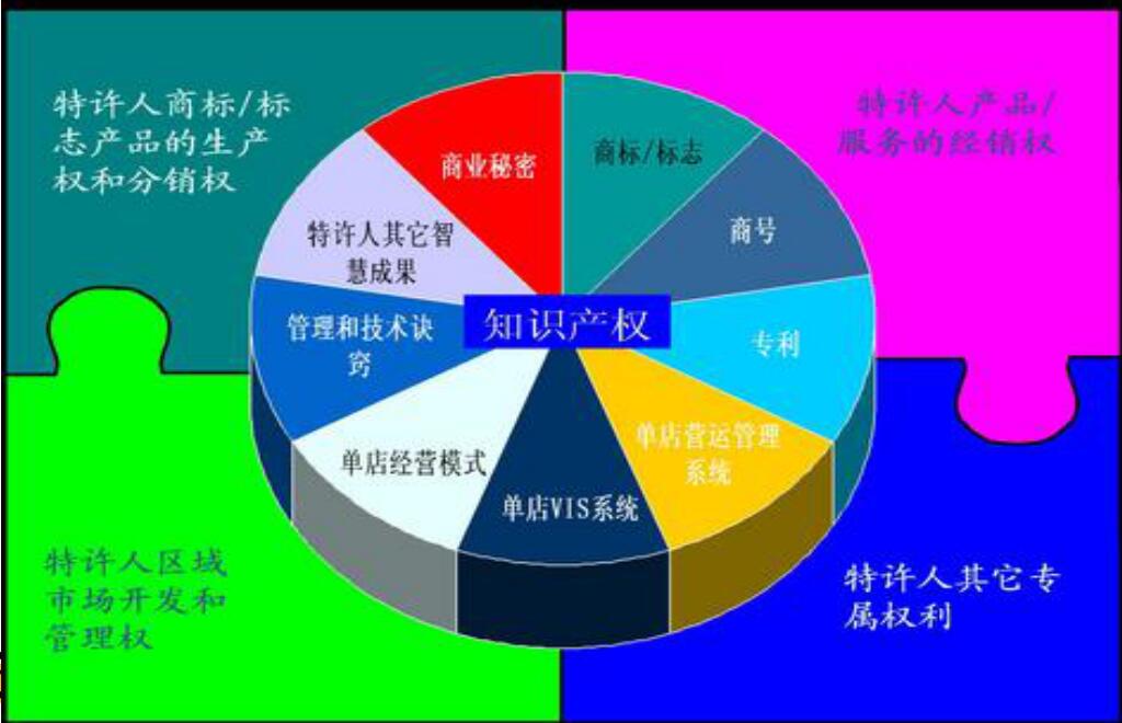 特许经营主体权益的设计